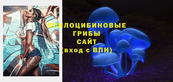 ECSTASY Абинск