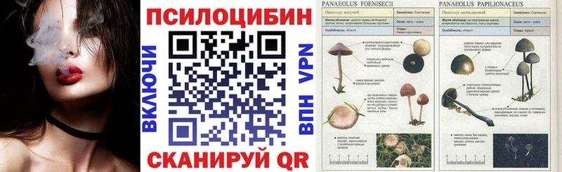 продажа наркотиков Шарья это клад Галлюциногенные грибы Psilocybe